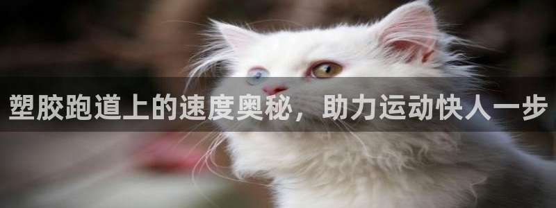 红足一1世官网比分：塑胶跑道上的速度奥秘，助力运动快人一步