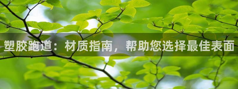 红足一1世比分球探：塑胶跑道：材质指南，帮助您选择最佳表面