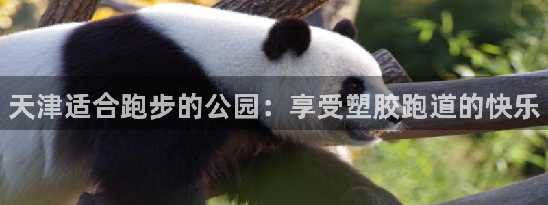 红足1世手机板：天津适合跑步的公园：享受塑胶跑道的快乐