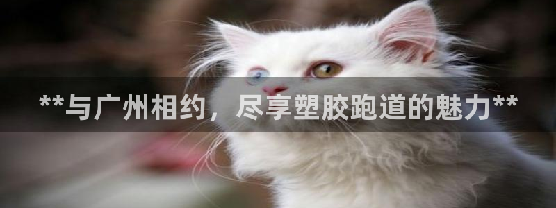 百度红足一1是干什么的：**与广州相约，尽享塑胶跑道的魅力**
