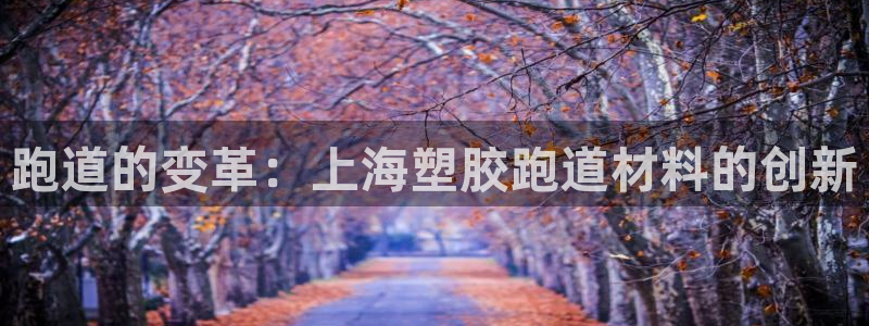 百度红足一1是为什么：跑道的变革：上海塑胶跑道材料的创新