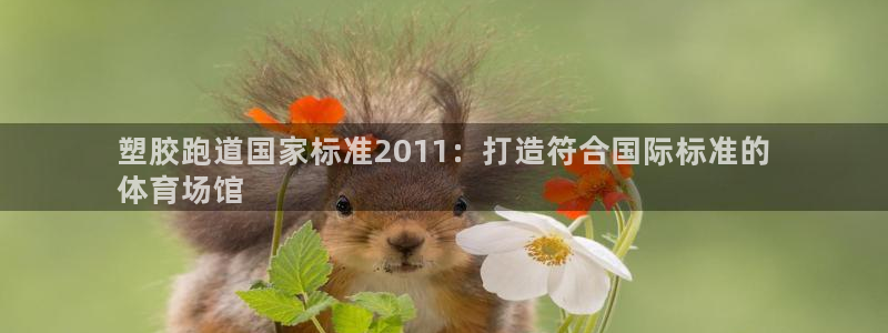 红足1一世：塑胶跑道国家标准2011：打造符合国际标准的
体育场馆