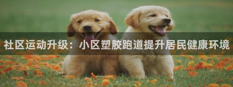 红足1世足球网址大全：社区运动升级：小区塑胶跑道提升居民健康环境