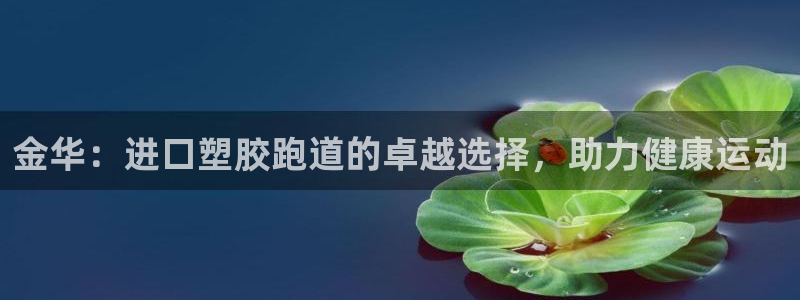 红足1世开奖预测：金华：进口塑胶跑道的卓越选择，助力健康运动