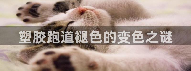 红足1世足球比分：塑胶跑道褪色的变色之谜