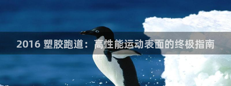 红足1世1站2站管理网：2016 塑胶跑道：高性能运动表面的终极指南