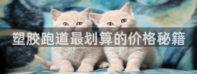 红足1世手机版下载：塑胶跑道最划算的价格秘籍