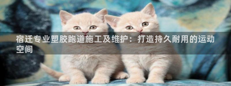 红足1一世足球手机：宿迁专业塑胶跑道施工及维护：打造持久耐用的运动
空间