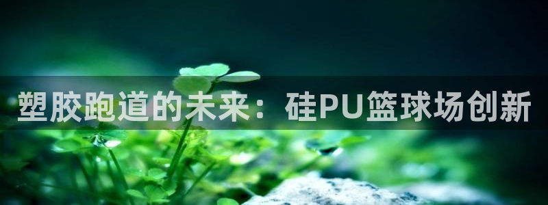 百度红足一1世：塑胶跑道的未来：硅PU篮球场创新