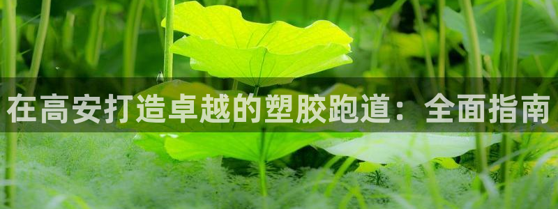 红足一一世：在高安打造卓越的塑胶跑道：全面指南