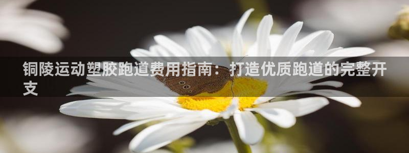 4633333开奖结果4176一点红：铜陵运动塑胶跑道费用指南：打造优质跑道的完整开
支