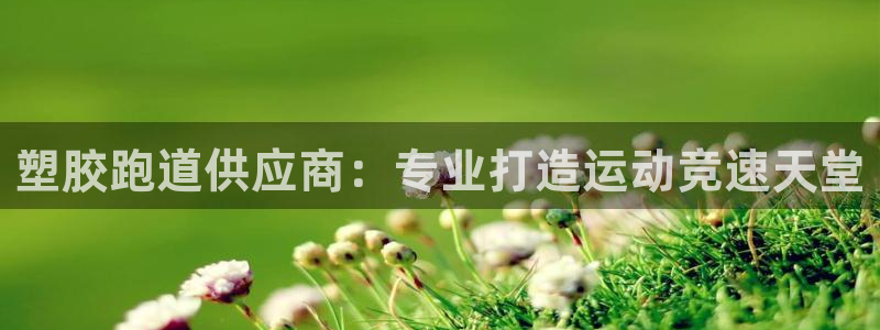 4633333开奖结果4176一点红：塑胶跑道供应商：专业打造运动竞速天堂