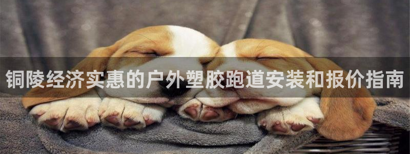 红足1世足球比分 localhost：铜陵经济实惠的户外塑胶跑道安装和报价指南
