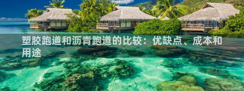 红足1一世：塑胶跑道和沥青跑道的比较：优缺点、成本和
用途