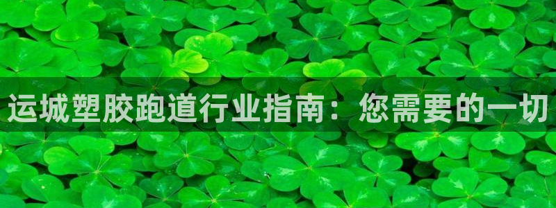 百度红足一1视频在线观看：运城塑胶跑道行业指南：您需要的一切