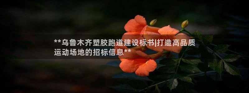 4633333开奖结果4176一点红：**乌鲁木齐塑胶跑道建设标书|打造高品质
运动场地的招标信息**