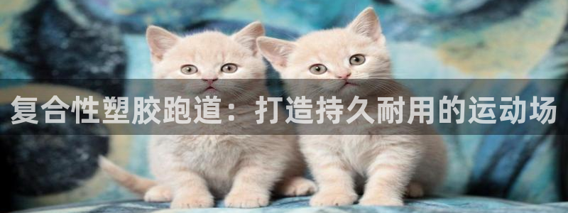 红足一1世手机版新皇冠：复合性塑胶跑道：打造持久耐用的运动场