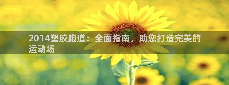 红足一1世666814足球比分网：2014塑胶跑道：全面指南，助您打造完美的
运动场