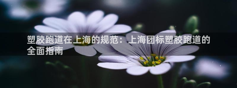 红足1世足球网址：塑胶跑道在上海的规范：上海团标塑胶跑道的
全面指南