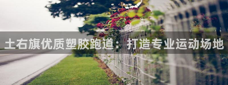 红足1一世足球手机：土右旗优质塑胶跑道：打造专业运动场地
