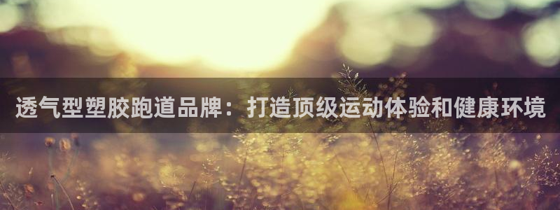 红足足球网：透气型塑胶跑道品牌：打造顶级运动体验和健康环境