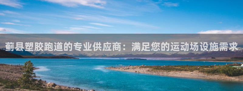 百度红足一1是什么样子的：蓟县塑胶跑道的专业供应商：满足您的运动场设施需求