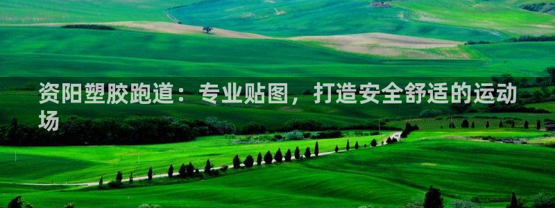 红足一丰：资阳塑胶跑道：专业贴图，打造安全舒适的运动
场