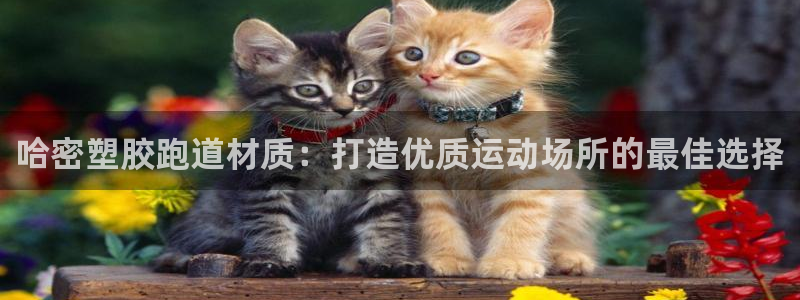 红足一1世666814最新结果