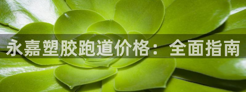 百度红足一1视频在线观看：永嘉塑胶跑道价格：全面指南