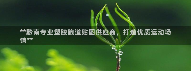 百度红足一1是干什么的：**黔南专业塑胶跑道贴图供应商，打造优质运动场
馆**