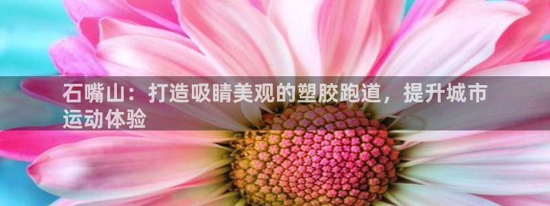 红足1一世红：石嘴山：打造吸睛美观的塑胶跑道，提升城市
运动体验
