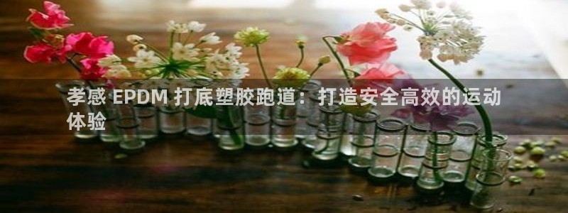 百度红足一1使用说明：孝感 EPDM 打底塑胶跑道：打造安全高效的运动
体验