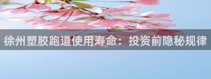 红足一1世皇冠登录：徐州塑胶跑道使用寿命：投资前隐秘规律