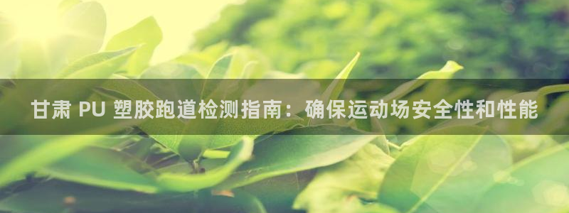 红足网足球直播：甘肃 PU 塑胶跑道检测指南：确保运动场安全性和性能