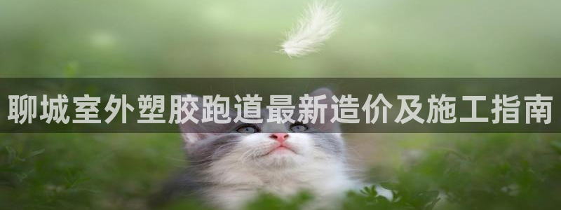 777814红·足一世比分：聊城室外塑胶跑道最新造价及施工指南