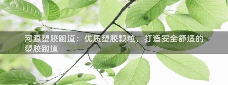 红足1一世 2站