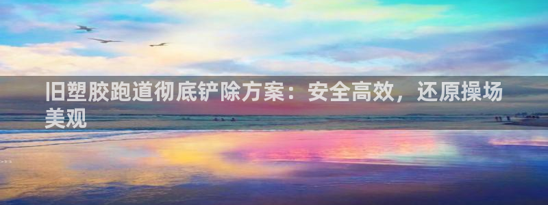 红足一1世官网：旧塑胶跑道彻底铲除方案：安全高效，还原操场
美观