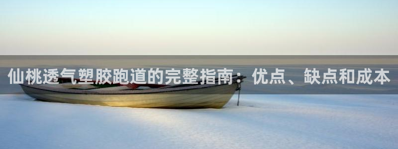 红足1世足球：仙桃透气塑胶跑道的完整指南：优点、缺点和成本