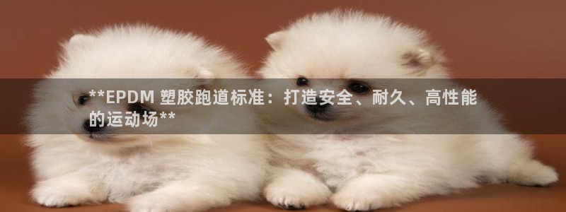 红姐现场直播开奖记录：**EPDM 塑胶跑道标准：打造安全、耐久、高性能
的运动场**