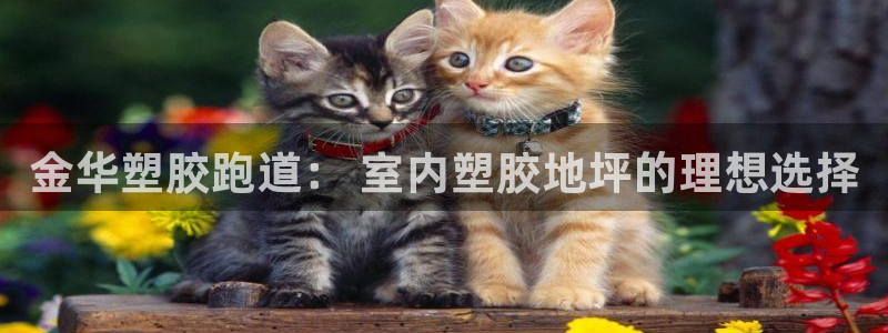 红足1世1站2站管理网