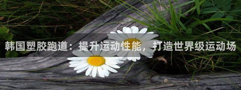红足一1世比分：韩国塑胶跑道：提升运动性能，打造世界级运动场