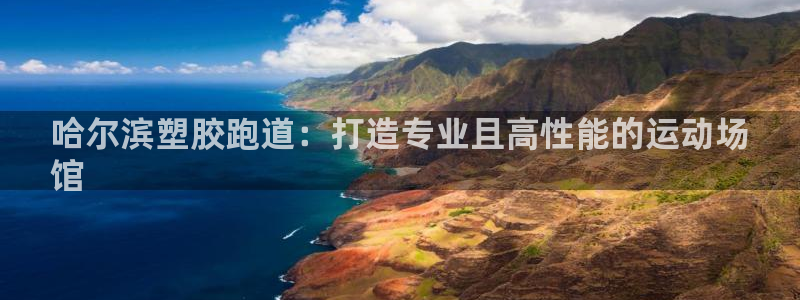 百度红足一1视频在线观看：哈尔滨塑胶跑道：打造专业且高性能的运动场
馆