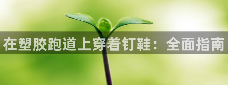 红足一1世比分