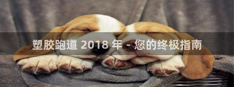 红足一1世66814：塑胶跑道 2018 年 - 您的终极指南