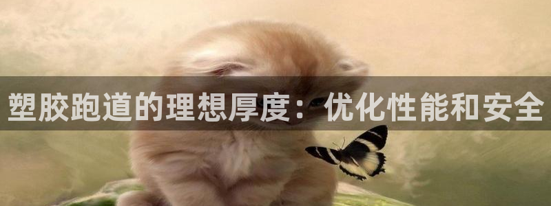 红足1世足球网址：塑胶跑道的理想厚度：优化性能和安全