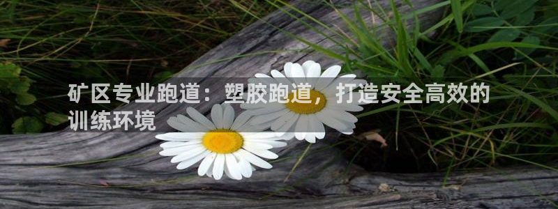 红足1世1站2站管理网：矿区专业跑道：塑胶跑道，打造安全高效的
训练环境