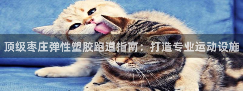 红足1世官网：顶级枣庄弹性塑胶跑道指南：打造专业运动设施