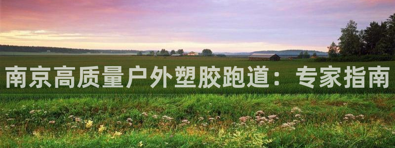 55814红足1世：南京高质量户外塑胶跑道：专家指南