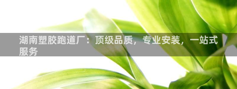 红足一1世手机皇冠：湖南塑胶跑道厂：顶级品质，专业安装，一站式
服务