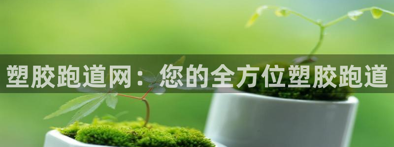 红足一一世足球网开奖记录：塑胶跑道网：您的全方位塑胶跑道